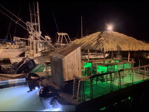 Nighttime dock with a tiki-hut boat and green lighting, surrounded by other boats.